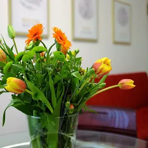 Apartment Filarmonico12 